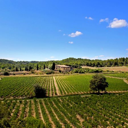Domaine De Palats Konuk evi Laure-Minervois Dış mekan fotoğraf