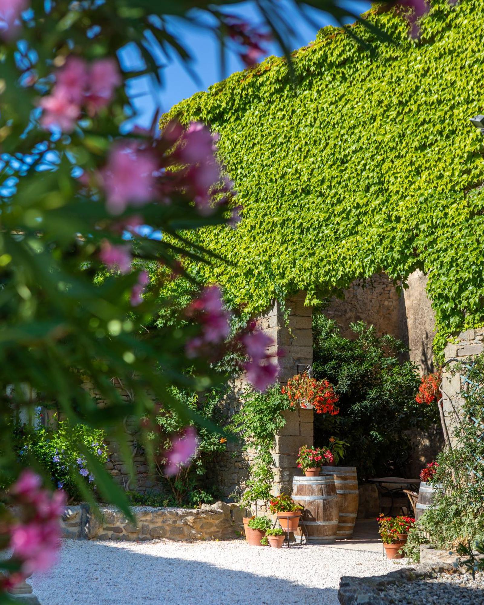 Domaine De Palats Konuk evi Laure-Minervois Dış mekan fotoğraf