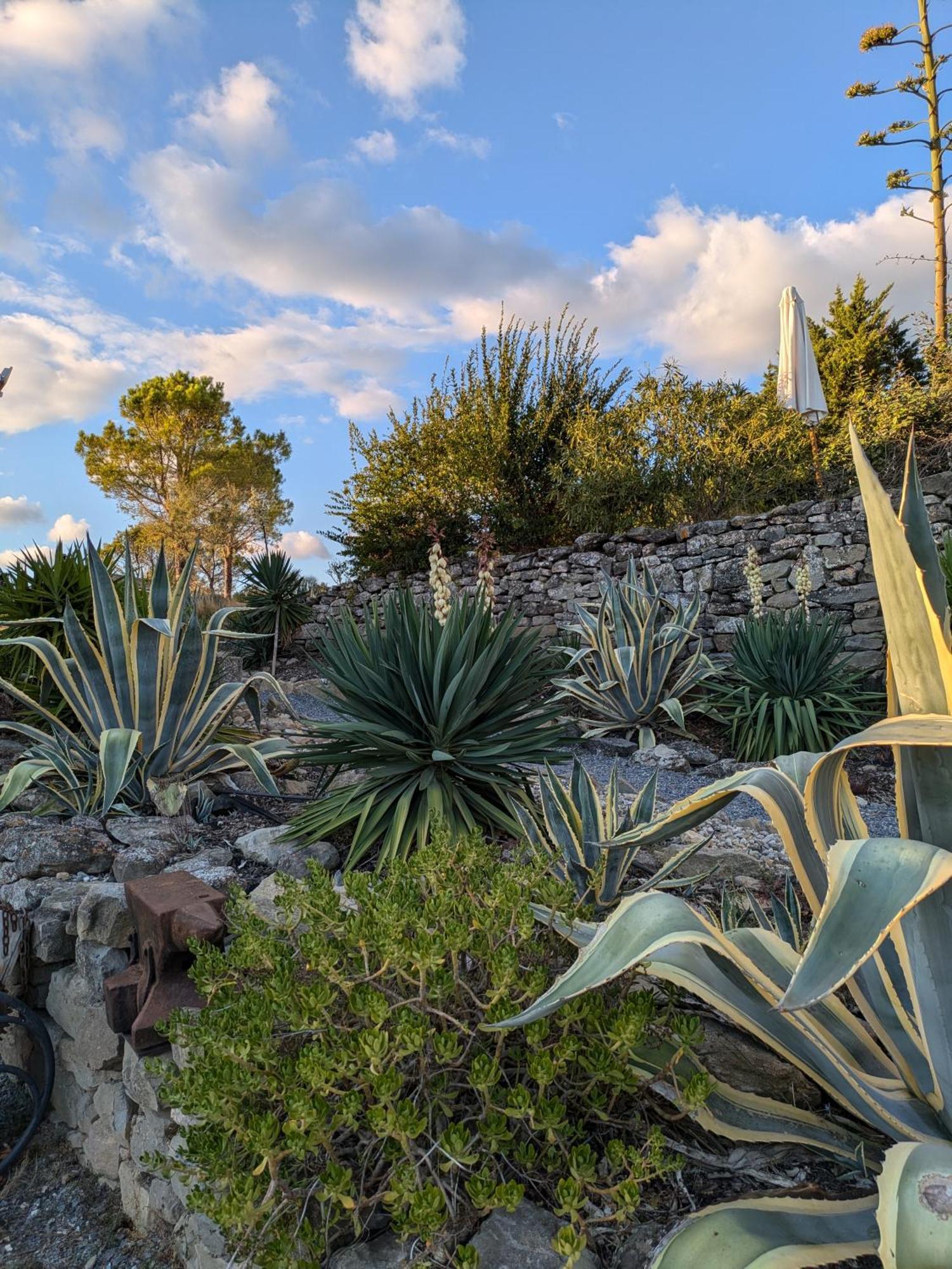 Domaine De Palats Konuk evi Laure-Minervois Dış mekan fotoğraf