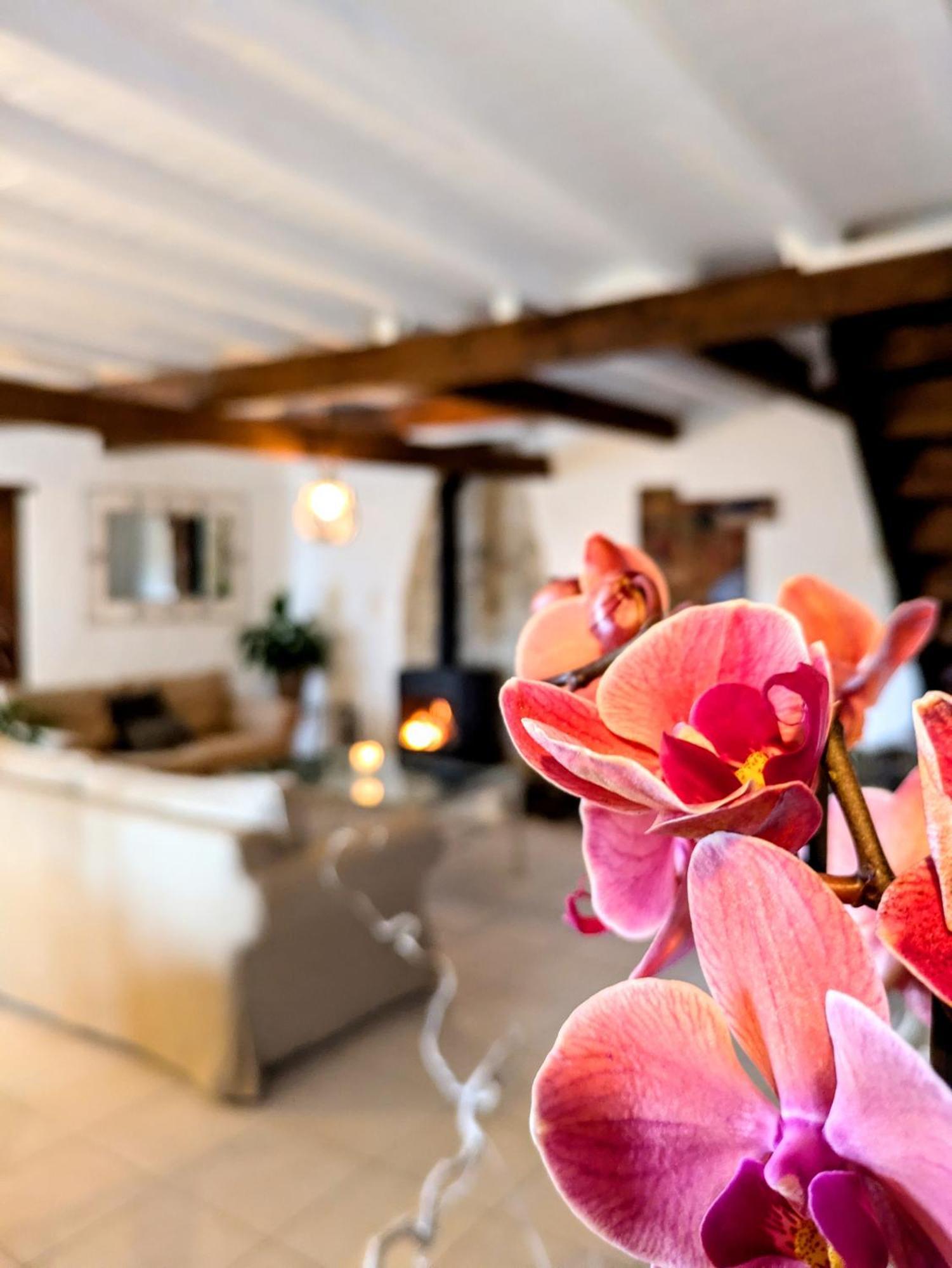 Domaine De Palats Konuk evi Laure-Minervois Oda fotoğraf