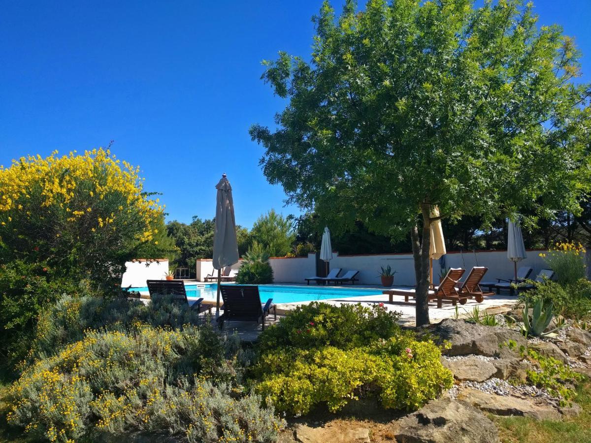 Domaine De Palats Konuk evi Laure-Minervois Dış mekan fotoğraf
