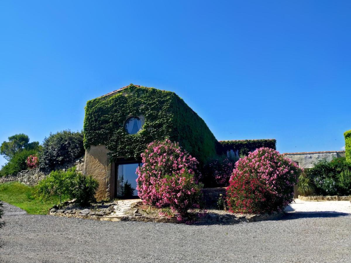 Domaine De Palats Konuk evi Laure-Minervois Dış mekan fotoğraf