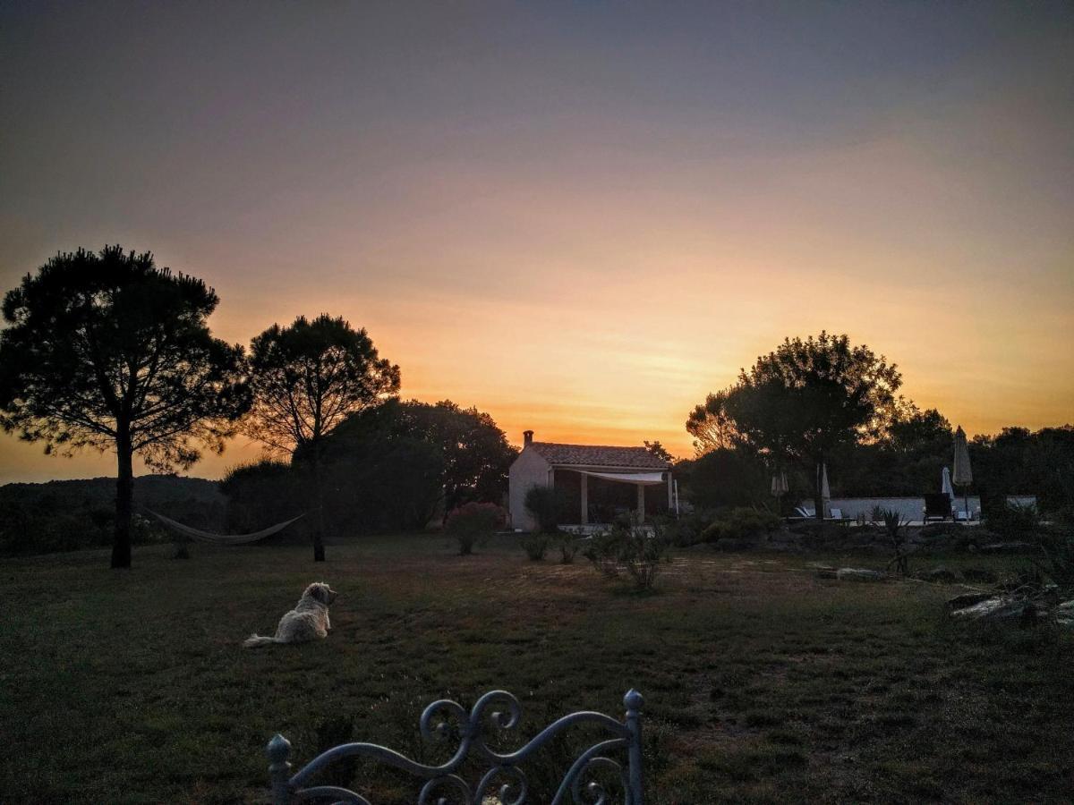 Domaine De Palats Konuk evi Laure-Minervois Dış mekan fotoğraf