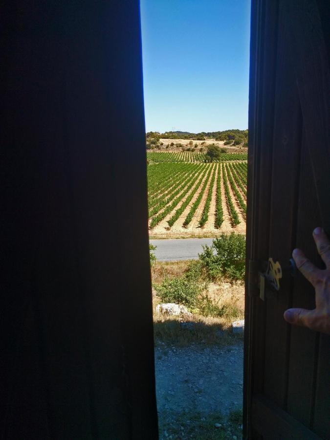 Domaine De Palats Konuk evi Laure-Minervois Dış mekan fotoğraf