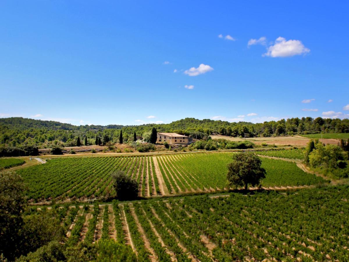 Domaine De Palats Konuk evi Laure-Minervois Dış mekan fotoğraf